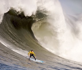 开云平台-辽宁队对阵深圳队，爱德华兹关键节点连续得分，诠释大心脏真谛