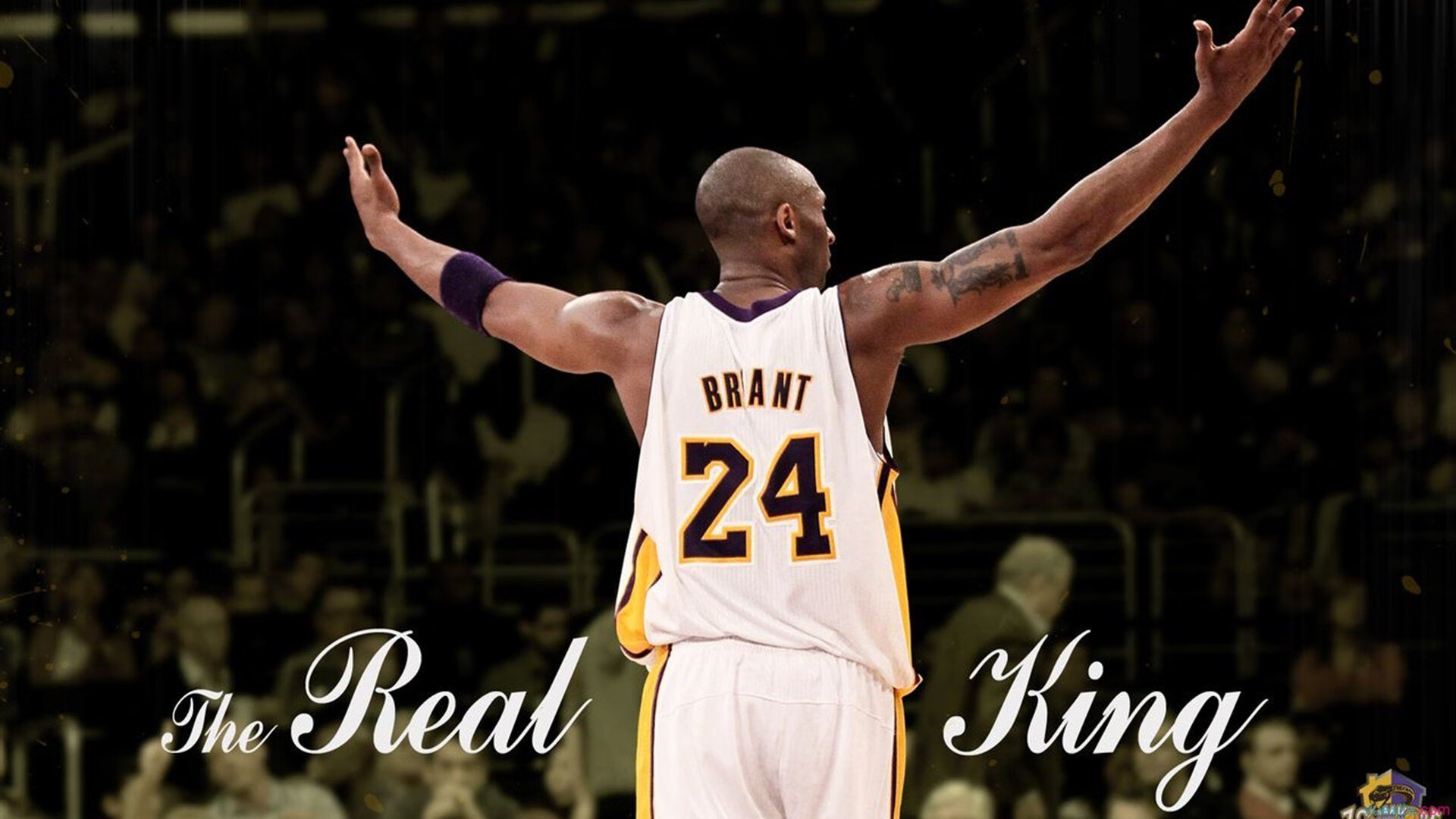 西决生死战之夜，阿劳霍数据全面爆炸，当数字成为史诗的注脚