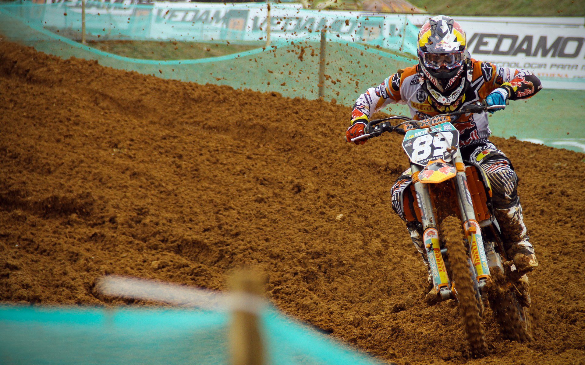 小贾伦·杰克逊，当国王对阵凯尔特人，他为何是真正的硬仗之王？